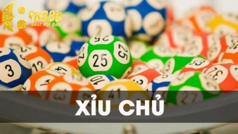 Người chơi cần hiểu xỉu chủ là gì để áp dụng